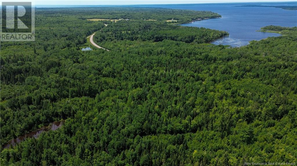 Photo of Listing #NB124051