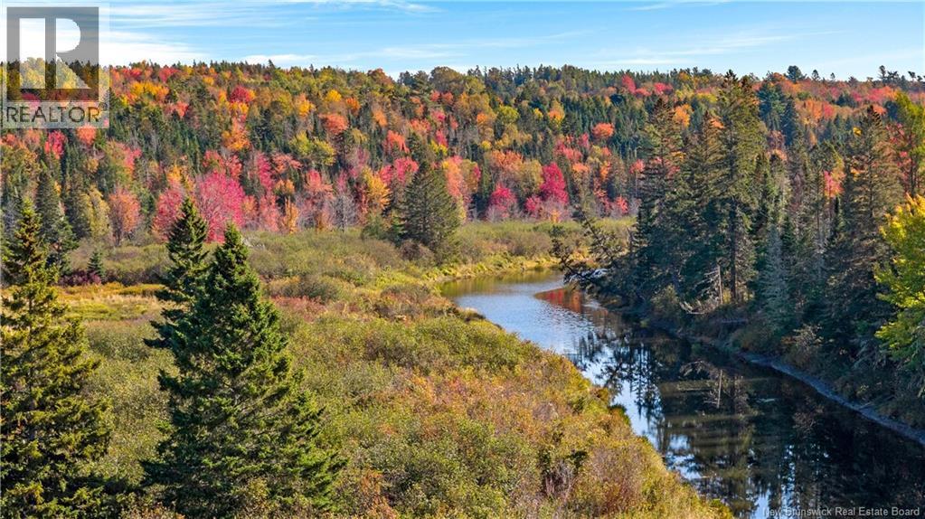 Photo of Listing #NB124095