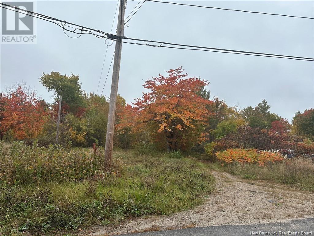 Photo of Listing #NB124182