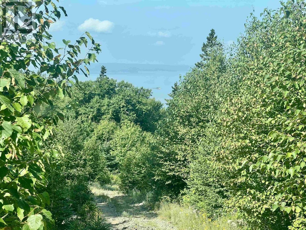 Settlers Bluff, St. Georges Channel