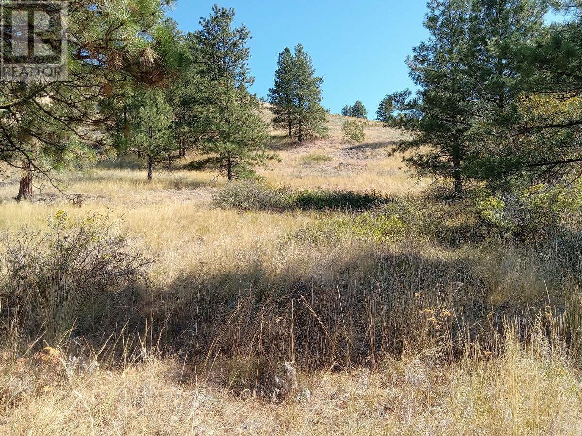 1024 Bullmoose Trail Lot# 8. Osoyoos, British Columbia