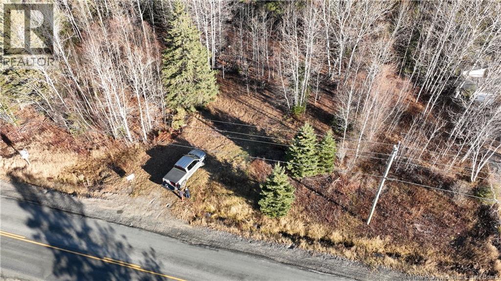 Photo of Listing #NB124243