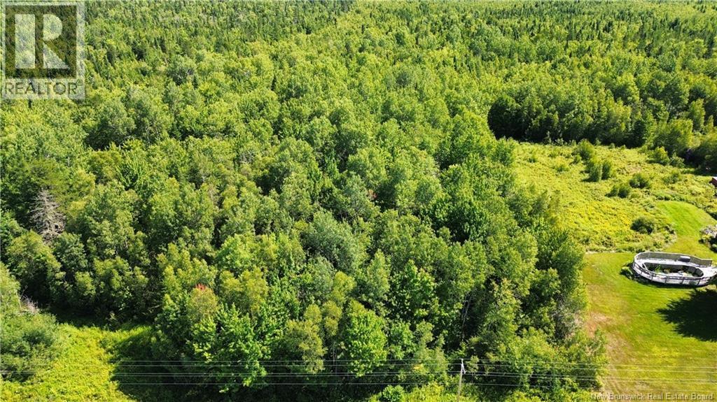 Lot 3 Route 126, Coal Branch