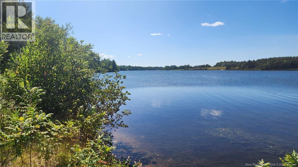 Photo of Listing #NB124188