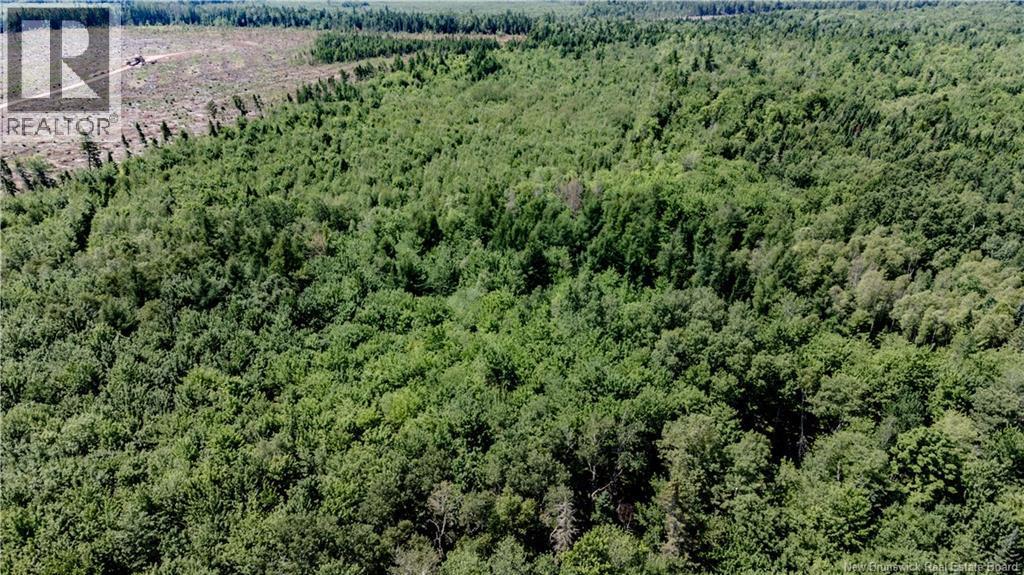 Photo of Listing #NB124234