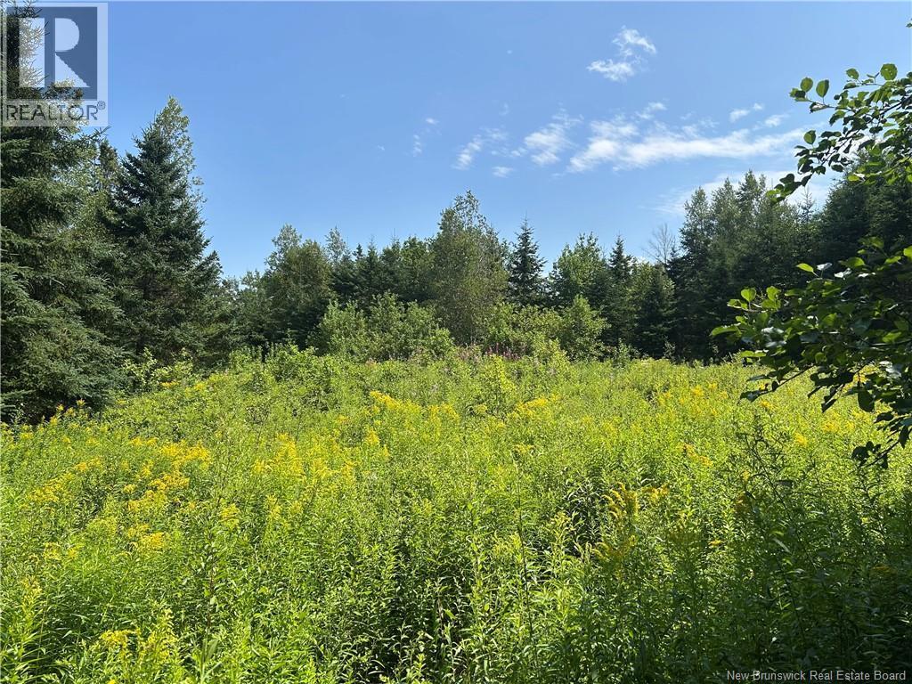 Photo of Listing #NB124211