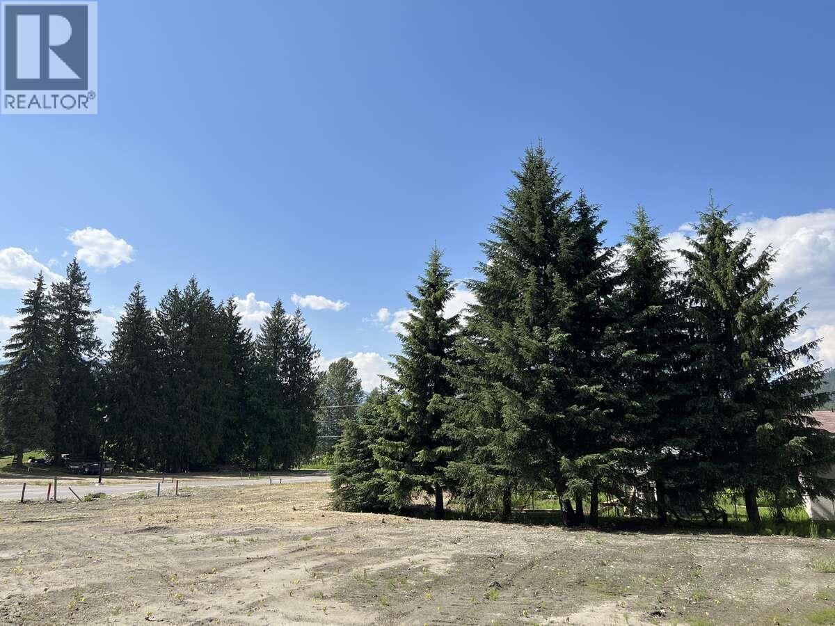 Sl 2, 4-1445 Illecillewaet Road. Revelstoke, British Columbia