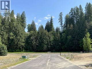 Sl 2, 4-1445 Illecillewaet Road. Revelstoke, British Columbia