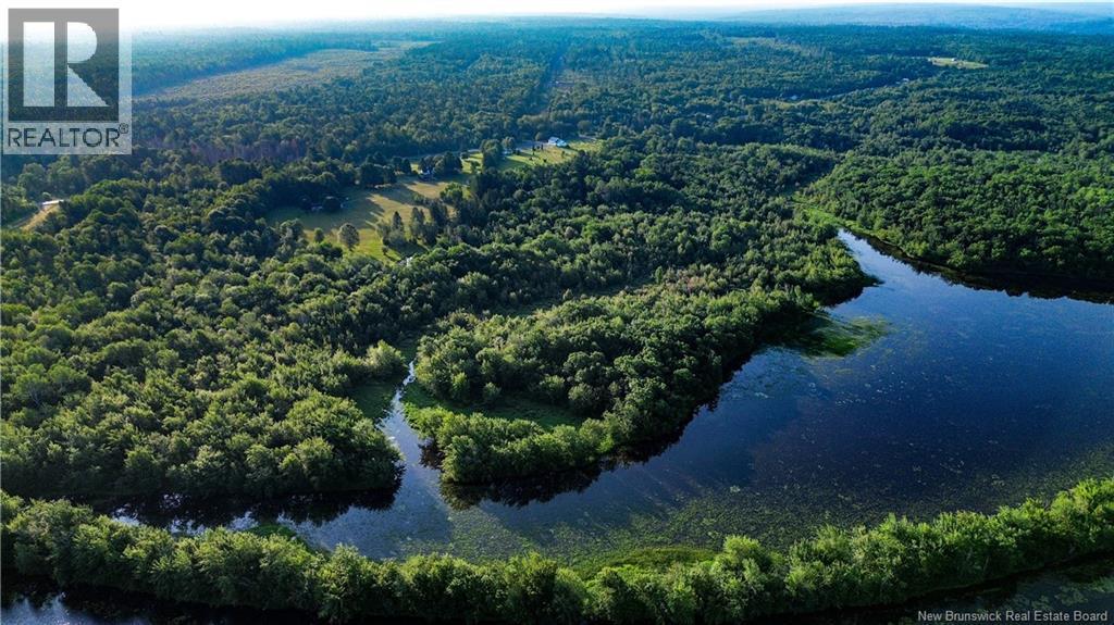 Photo of Listing #NB124421