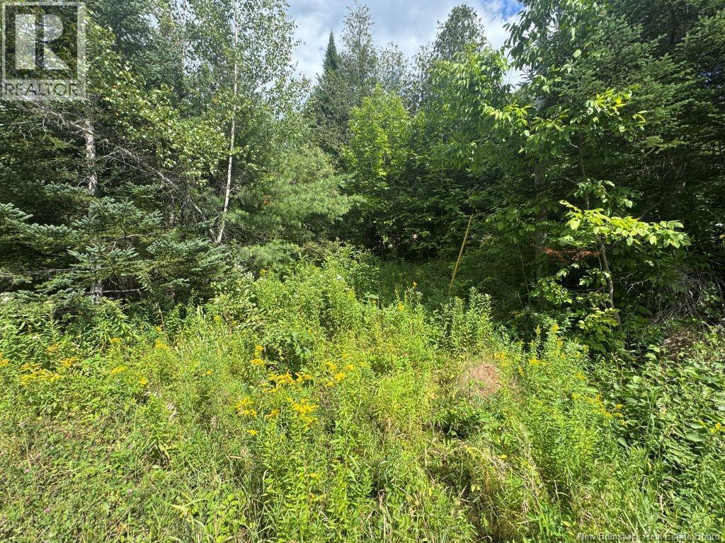 Photo of Listing #NB124457