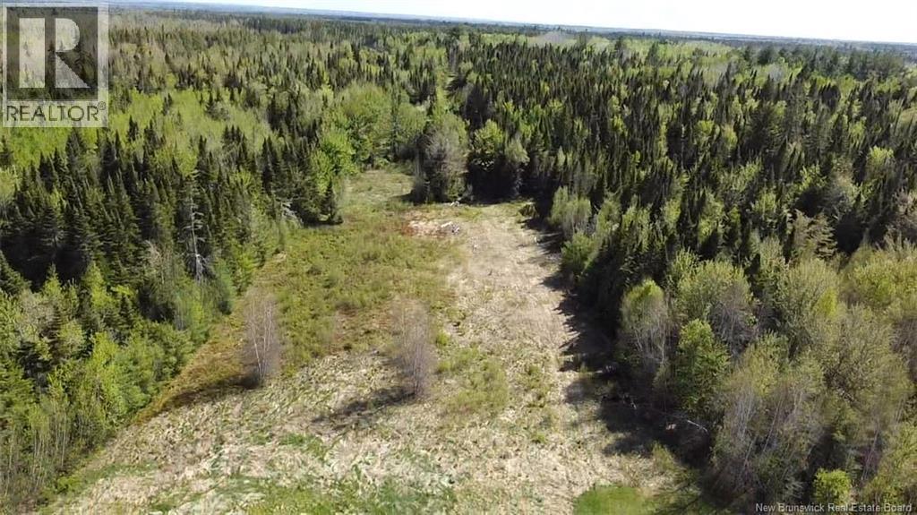 Photo of Listing #NB124507