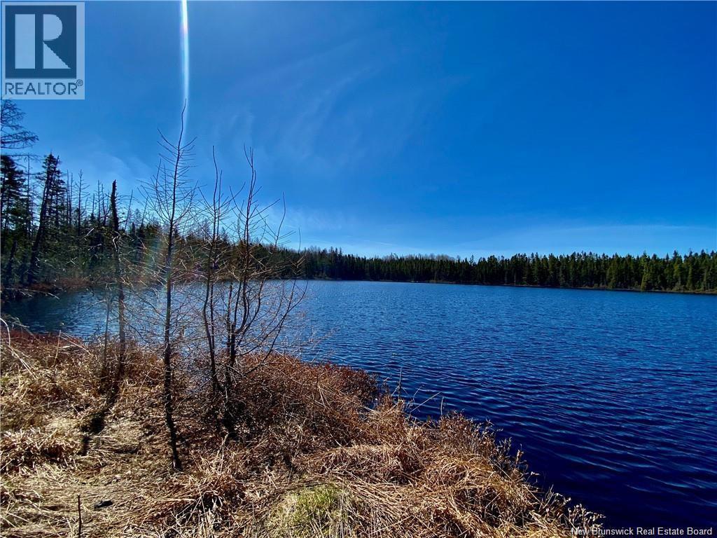 Photo of Listing #NB123418