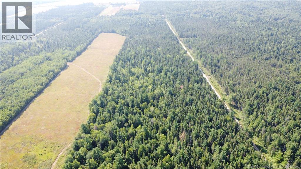 Photo of Listing #NB124580