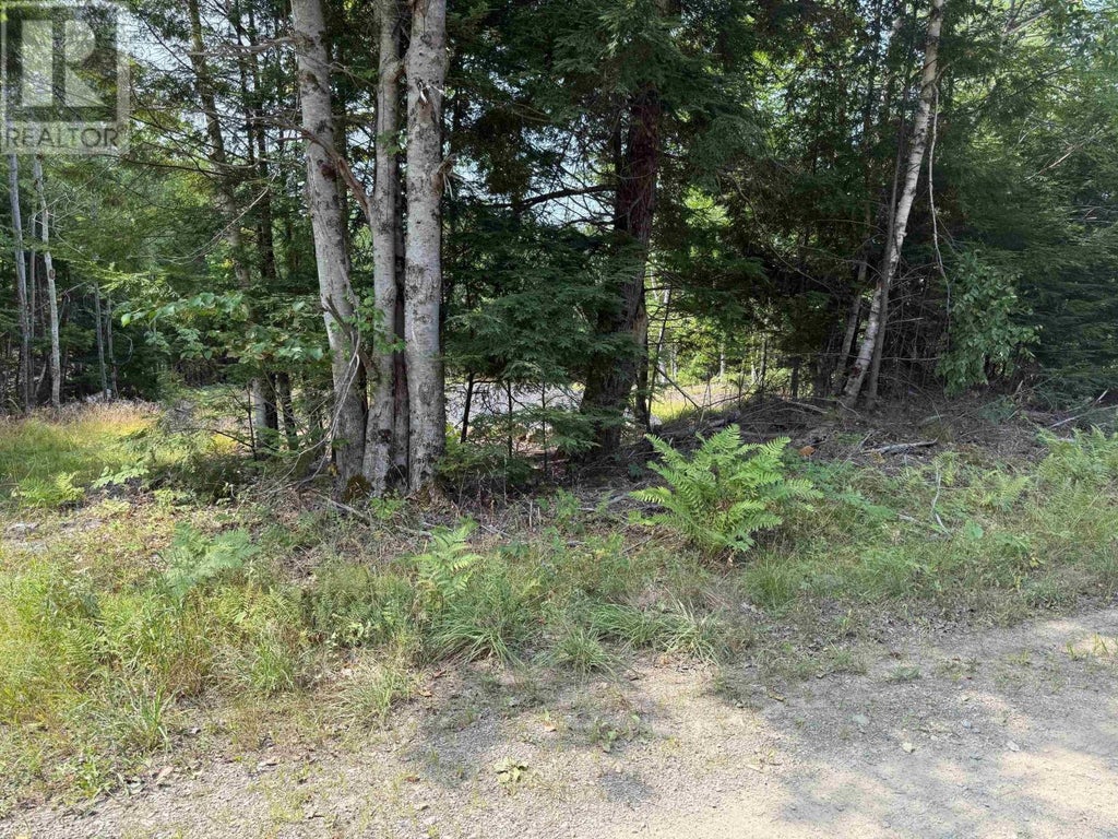 Lot Pid#60724341 Dauphinee Road, Cookville
