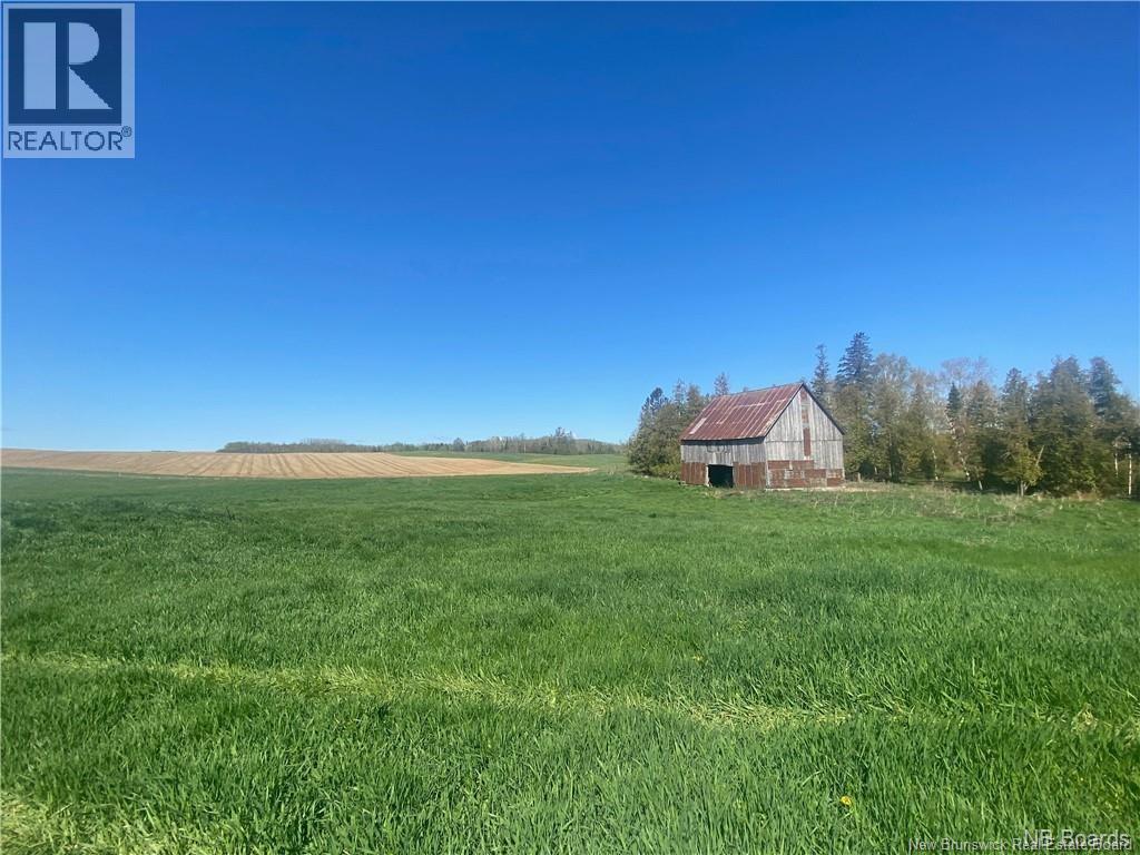 Photo of Listing #NB124601