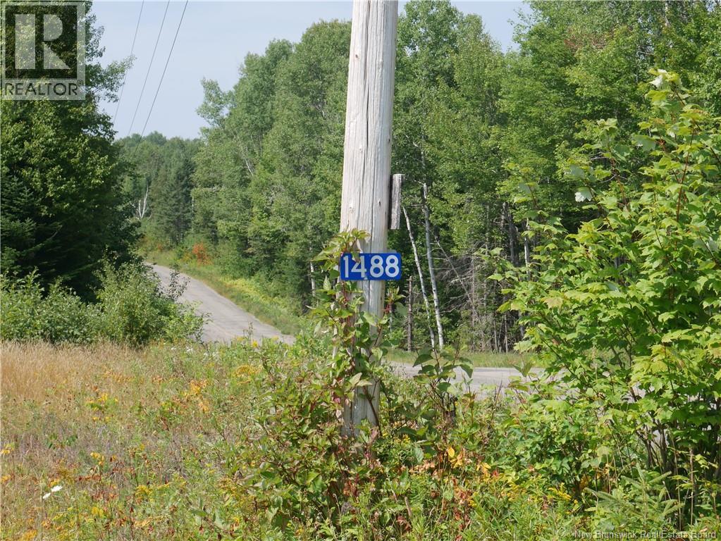 Photo of Listing #NB124655