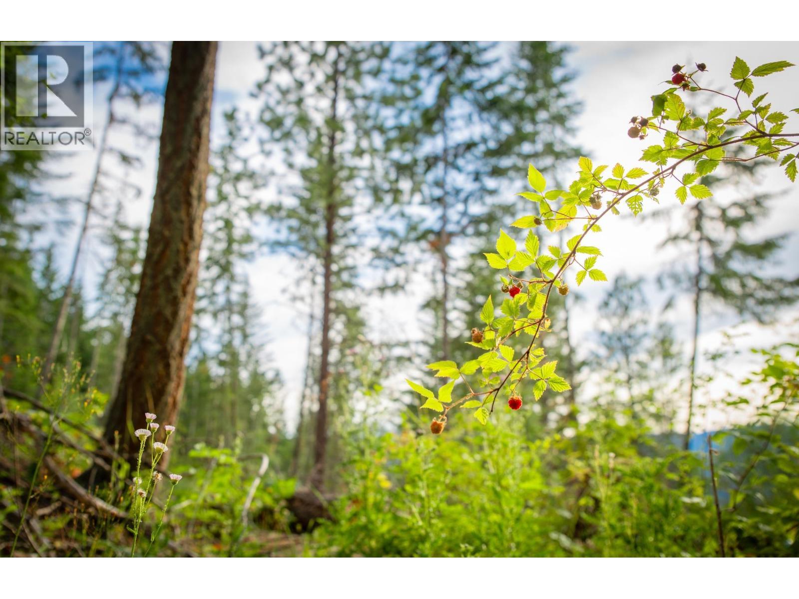 5617 Oyama Lake Road Lot# 2. Lake Country, British Columbia