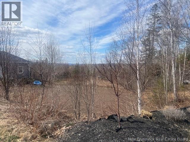 Photo of Listing #NB124802