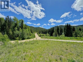 Lot 4 Princeton Summerland Road. Princeton, British Columbia