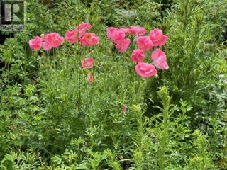 1750 Westside Road N Lot# 3. Kelowna, British Columbia