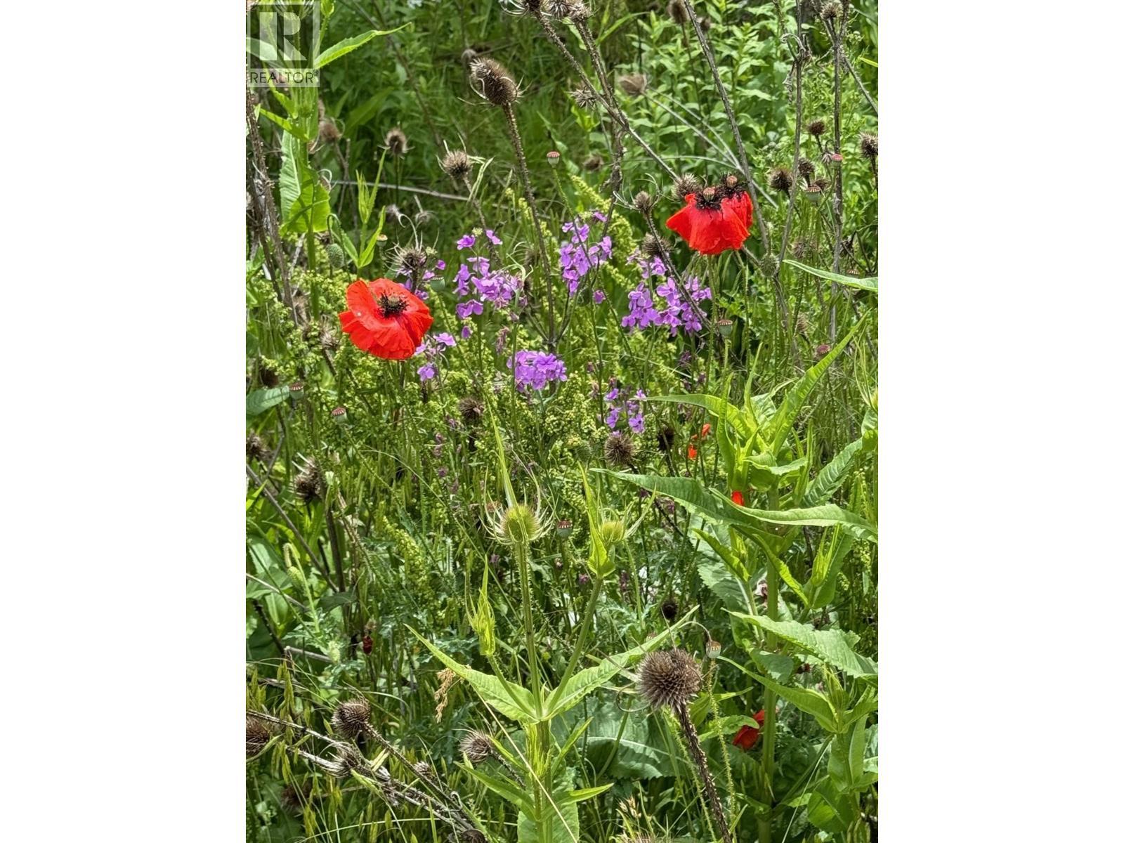 1750 Westside Road N Lot# 3. Kelowna, British Columbia