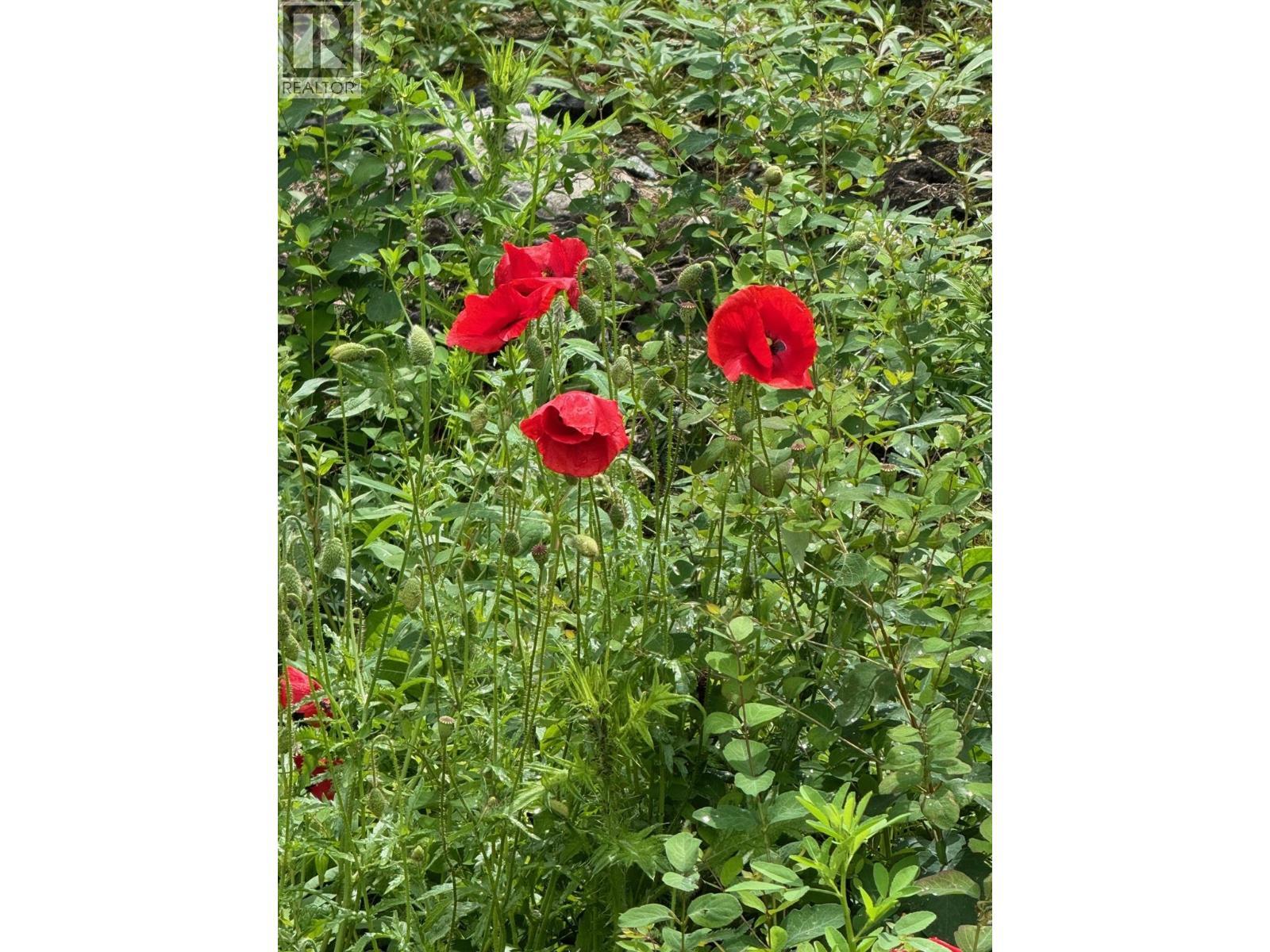 1750 Westside Road N Lot# 3. Kelowna, British Columbia