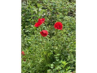 1750 Westside Road N Lot# 3. Kelowna, British Columbia