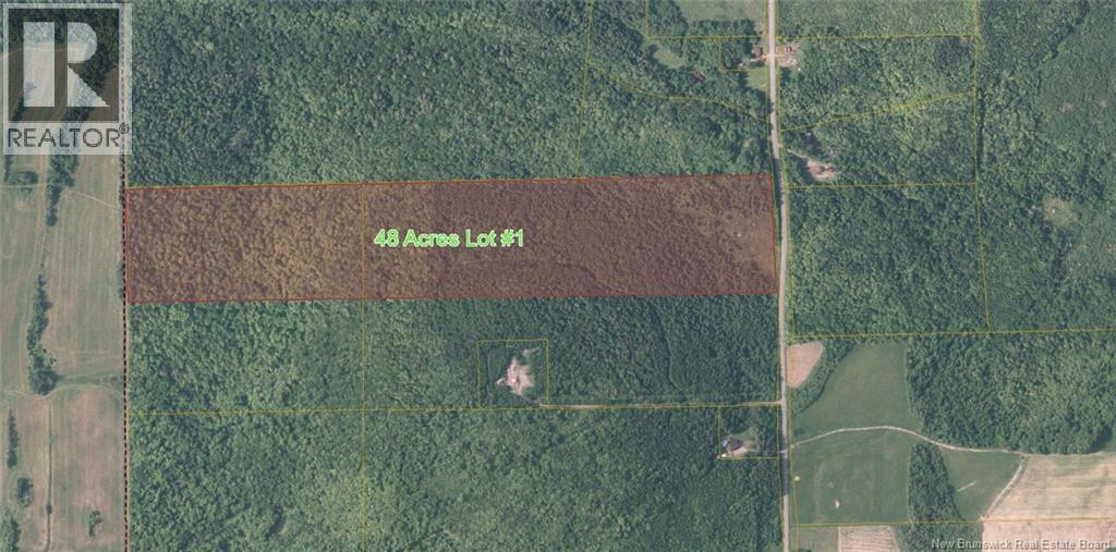 Photo of Listing #NB124897