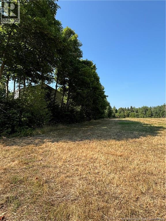 Photo of Listing #NB124990