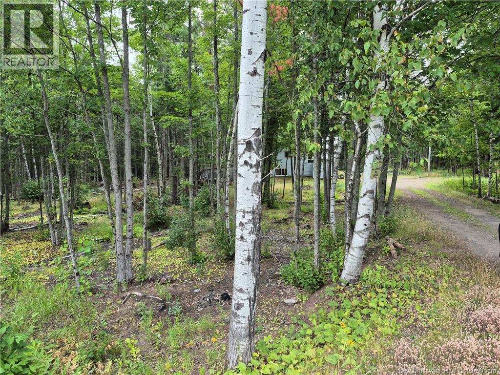 Photo of Listing #NB125024