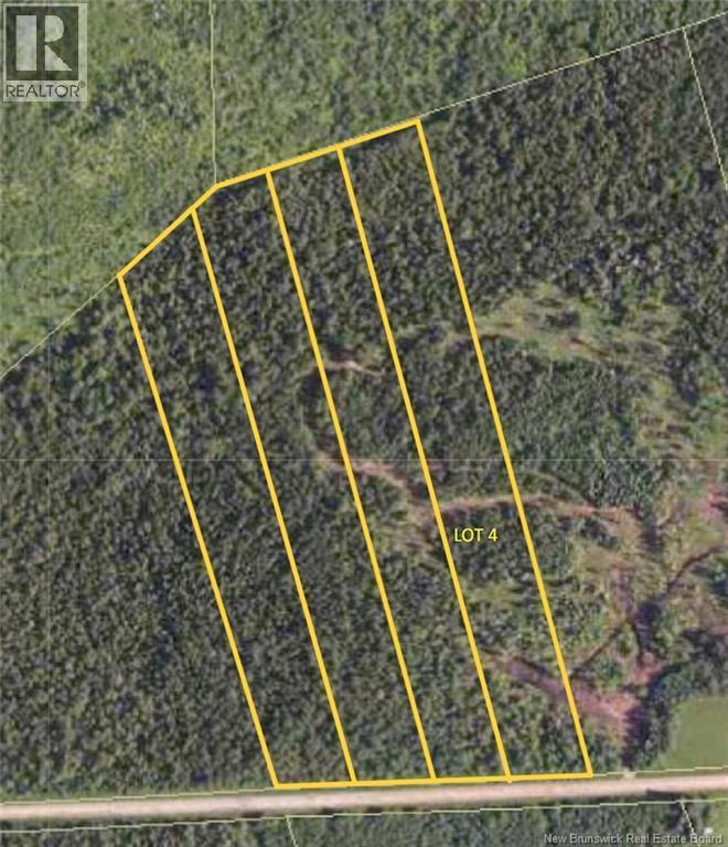 Photo of Listing #NB125159