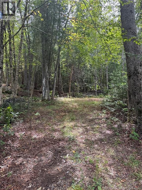 Photo of Listing #NB125317