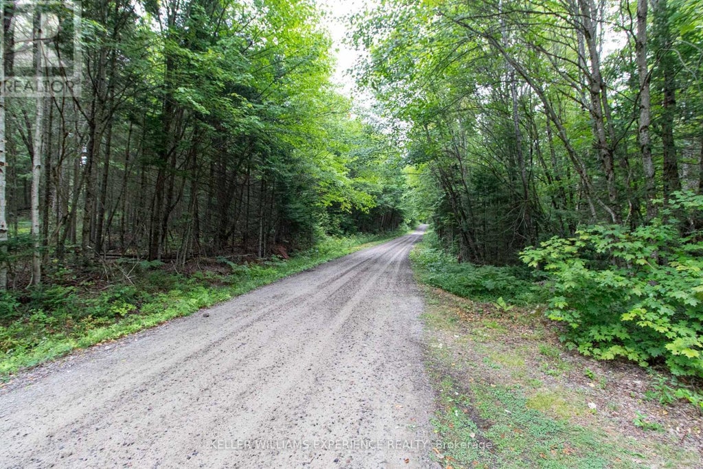 1415 Long Lake Road, Perry (novar)