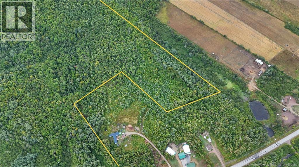 Photo of Listing #NB125367