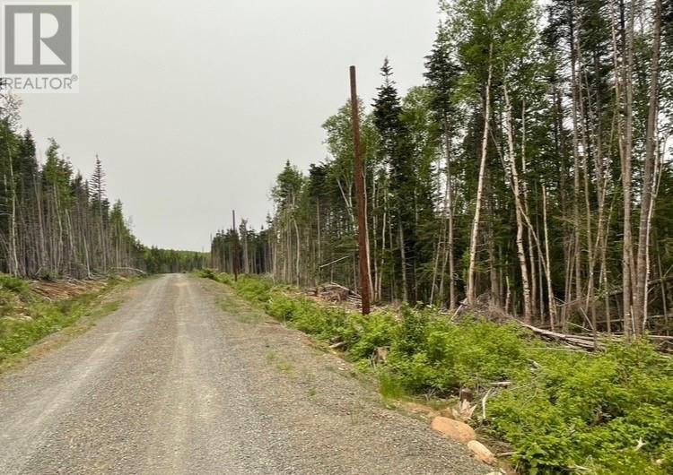 14 Paradise Road, Miller Town