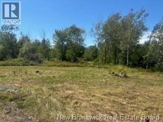 Photo of Listing #NB125417