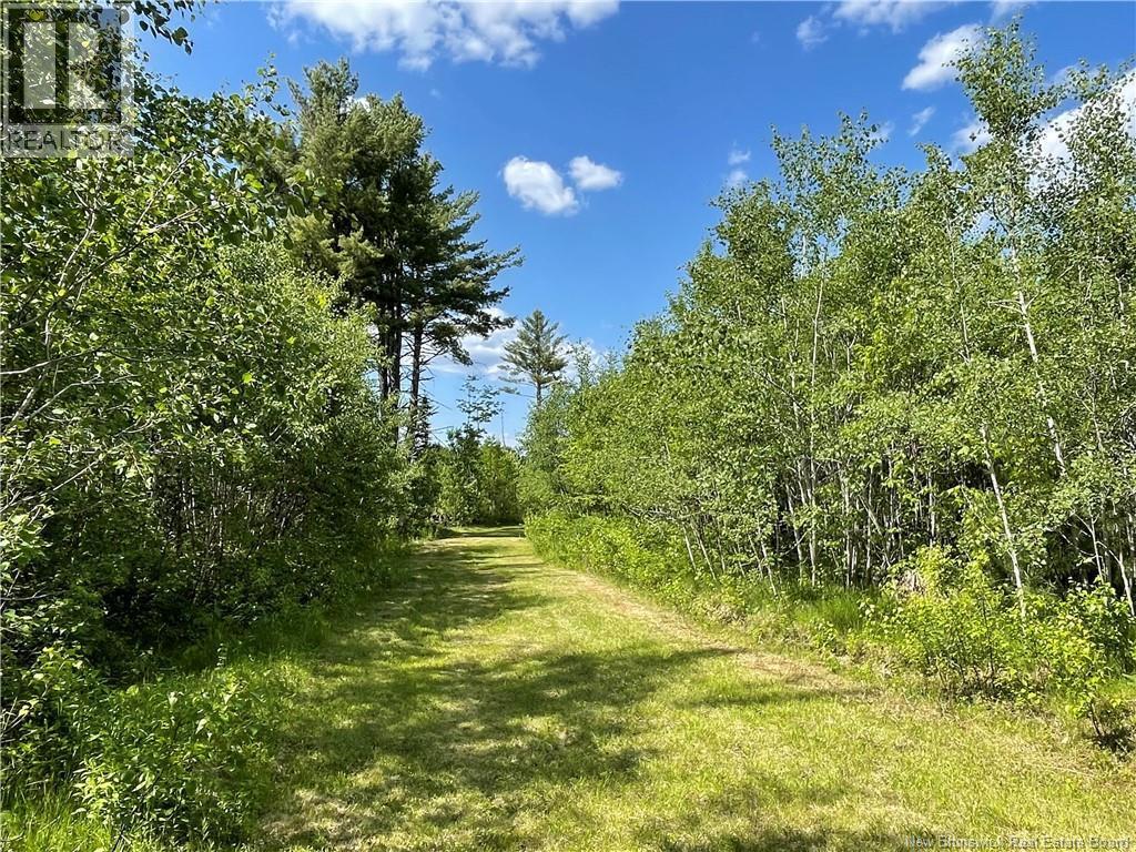 Photo of Listing #NB125492