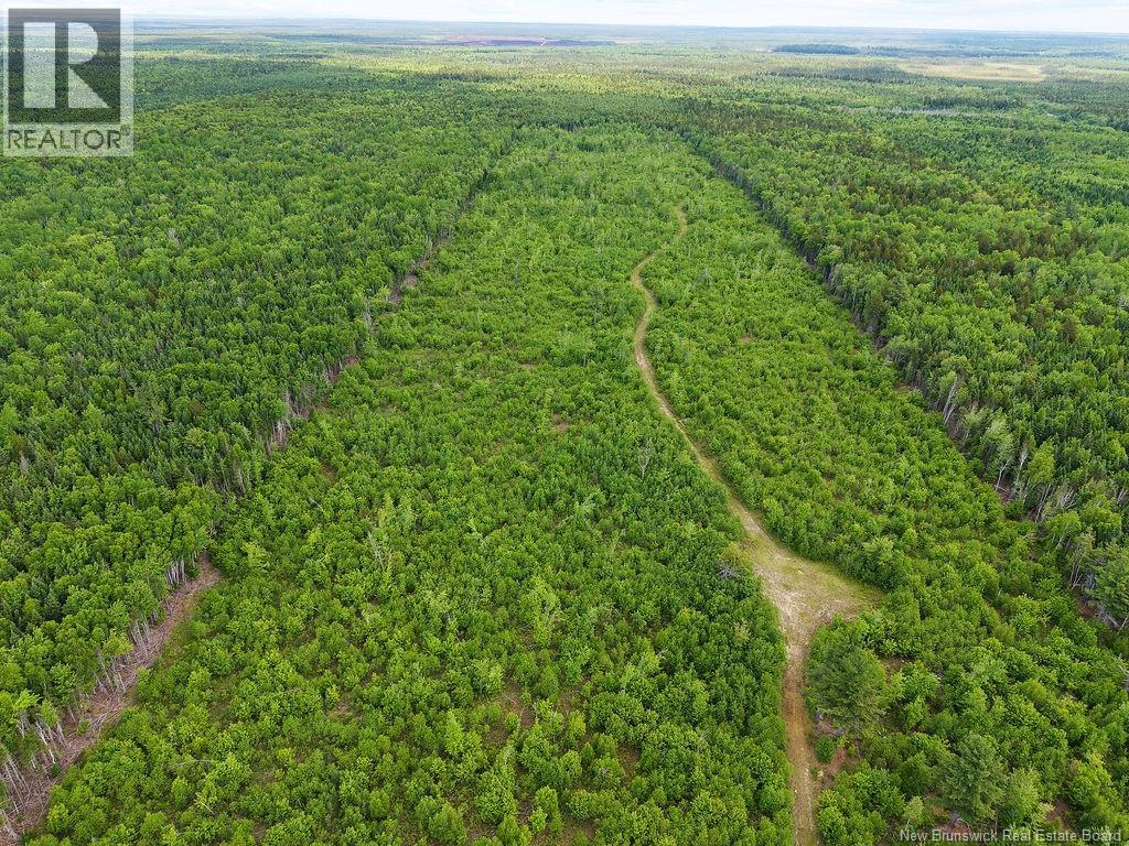 Photo of Listing #NB125492