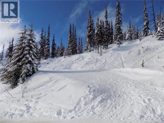 5940 Snow Pines Way Unit# 23. Big White, British Columbia