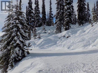 5940 Snow Pines Way Unit# 23. Big White, British Columbia