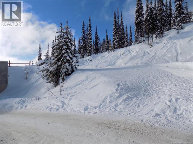 5940 Snow Pines Way Unit# 23. Big White, British Columbia