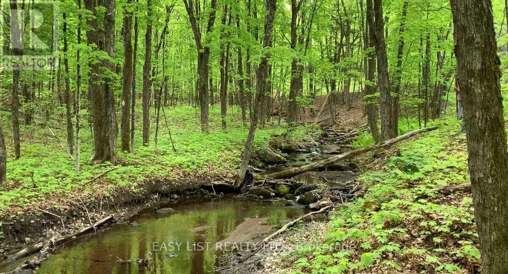 Lot 1 Colonial Road, Minden Hills (snowdon)