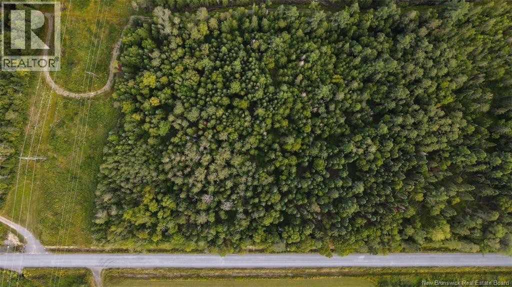 Photo of Listing #NB125484