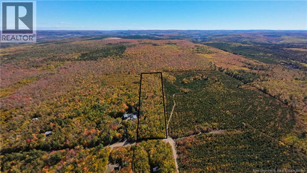 Photo of Listing #NB125566