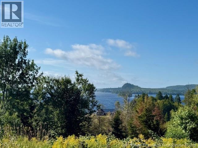 Photo of Listing #NB125443