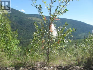 130acres Sugar Lake-sihlis Road. Vernon, British Columbia