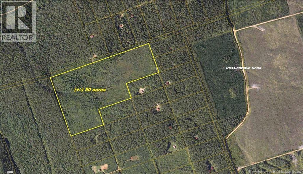 Photo of Listing #NB125635