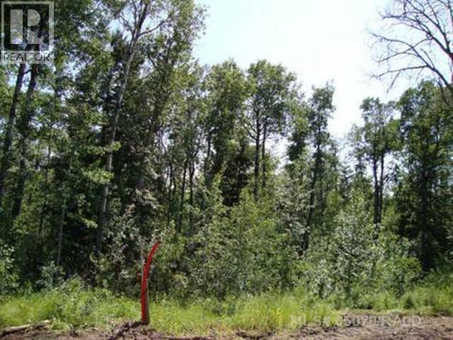 Lot 3 Blk 5 Lakeside Drive, Perch Lake