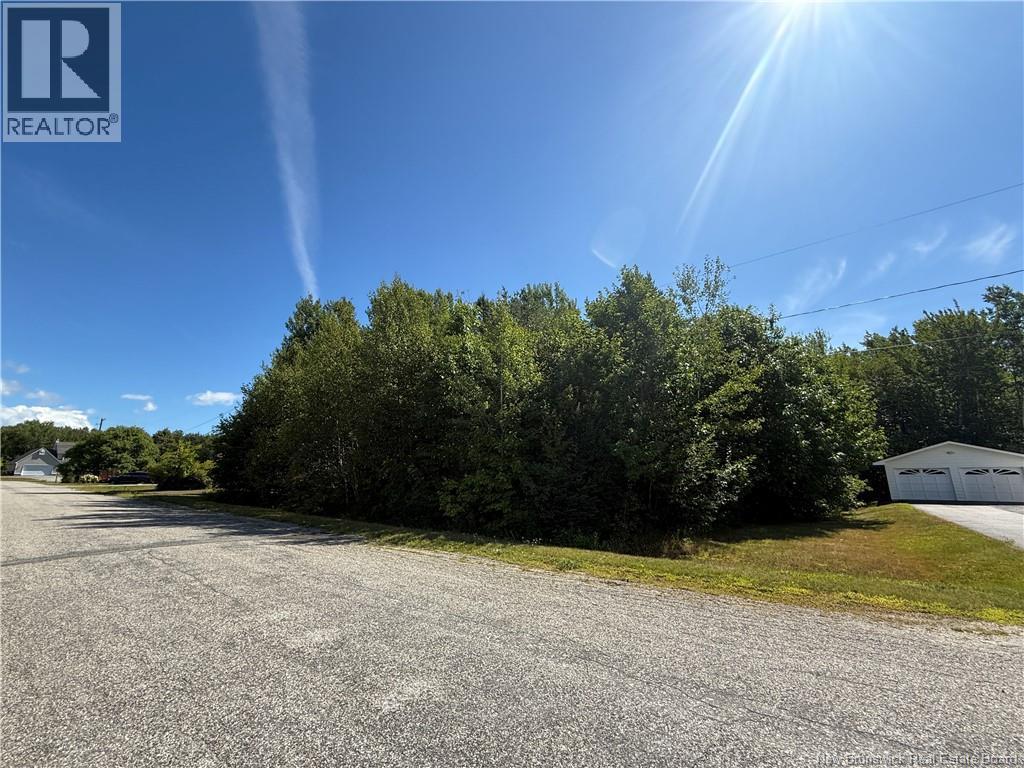 Photo of Listing #NB125704