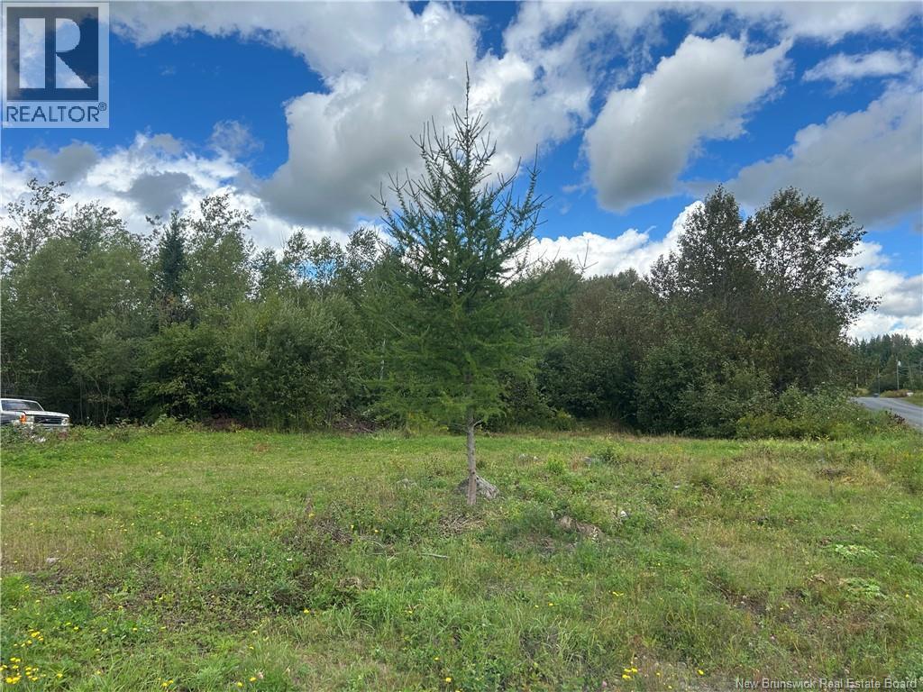 Photo of Listing #NB125503